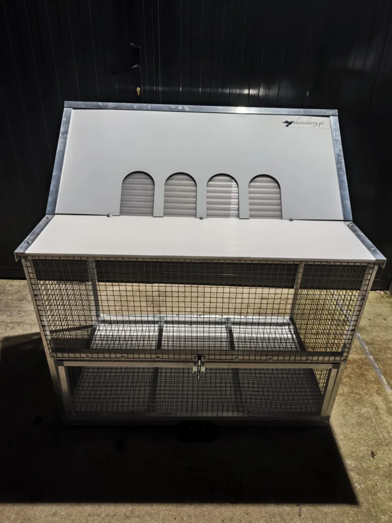 wlotowoliera-global-1