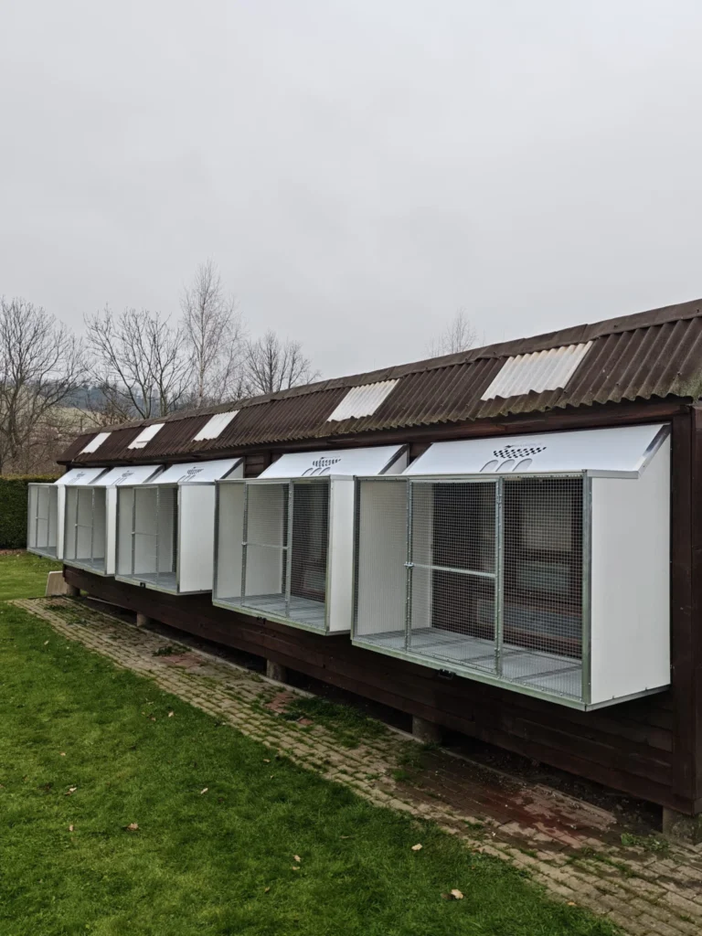 wlotowoliera-global-3