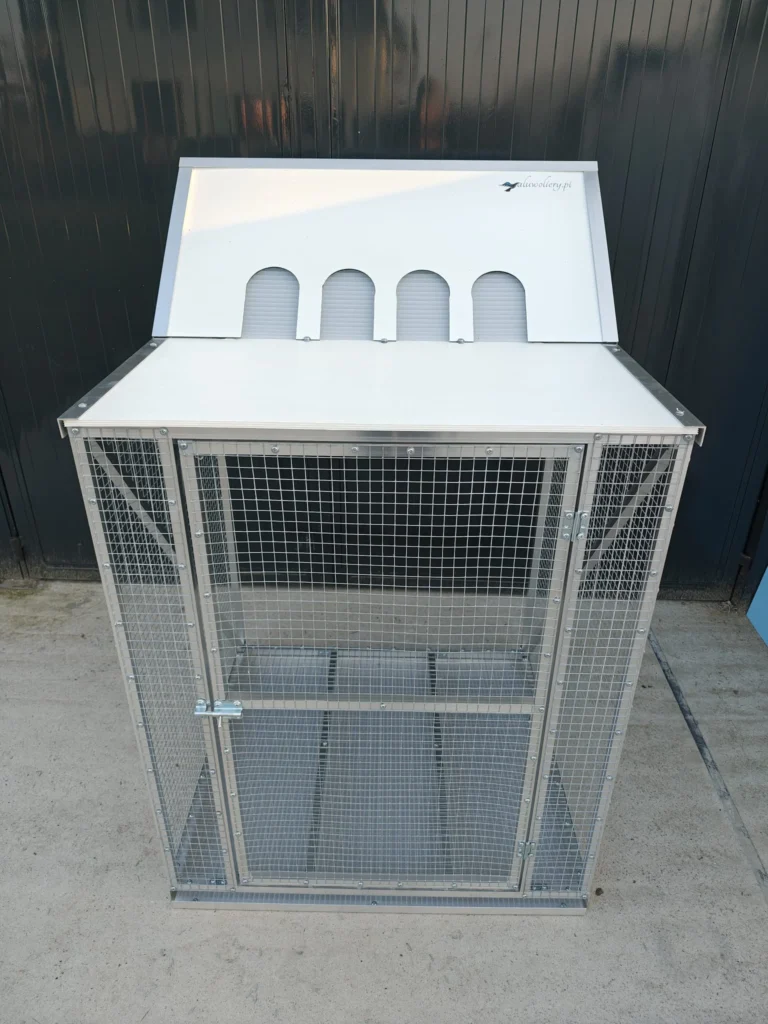 wlotowoliera-global-5