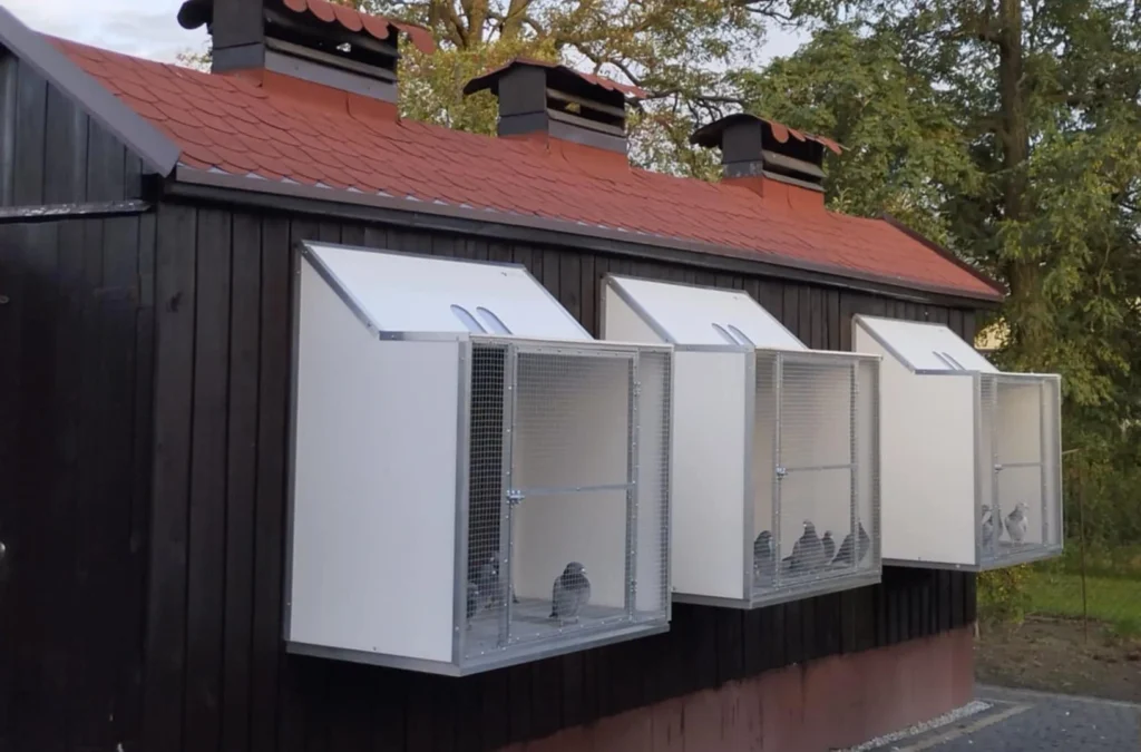 wlotowoliera-global-6