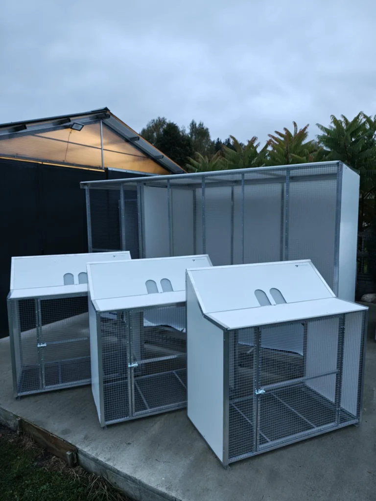 wlotowoliera-global-7